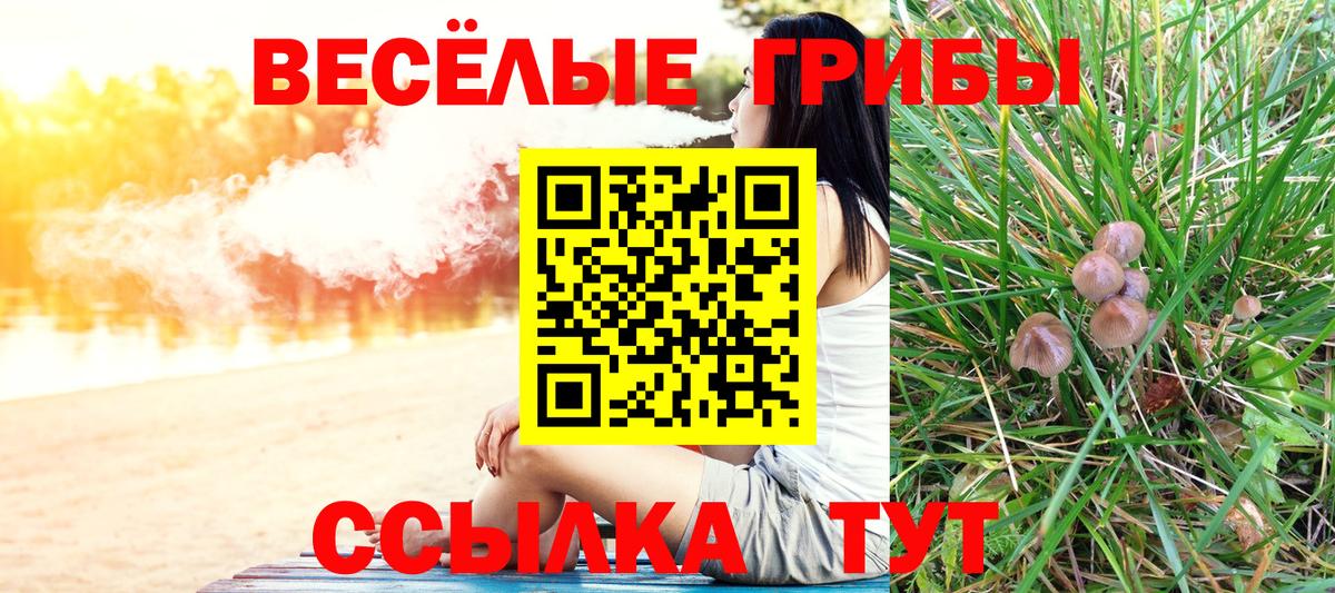 Псилоцибиновые грибы Magic Shrooms  Псилоцибиновые грибы мицелий  Вход с VPN  где можно купить   Рославль 