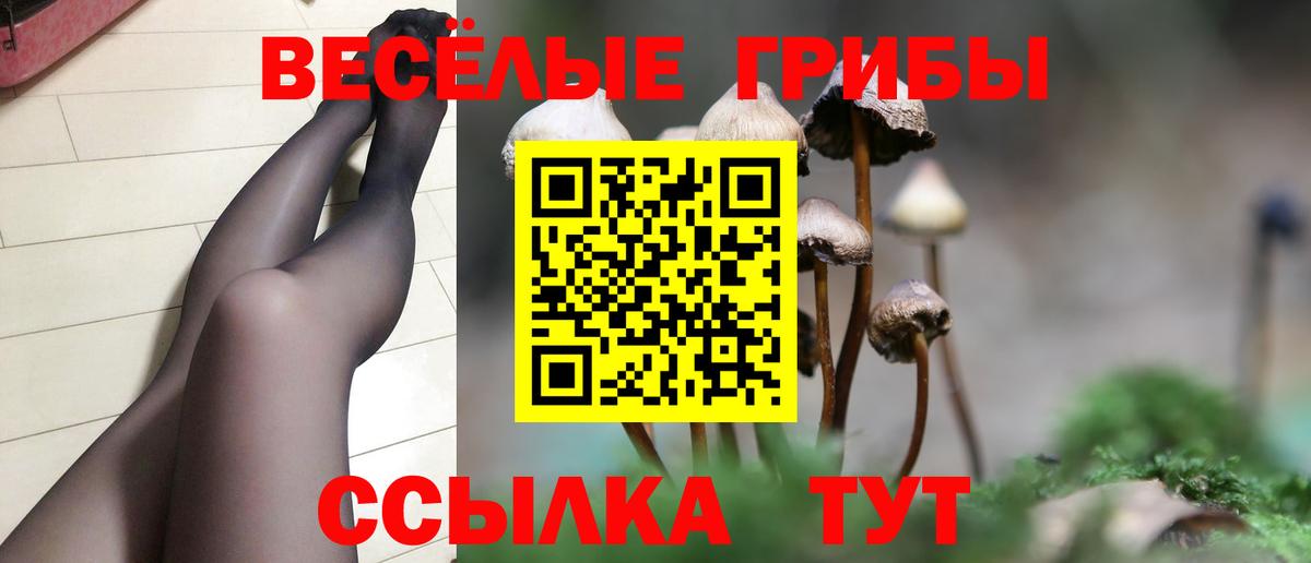 Галлюциногенные грибы GOLDEN TEACHER Рославль